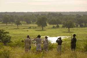 Walking safari - Puku Ridge - South Luangwa - Zambia