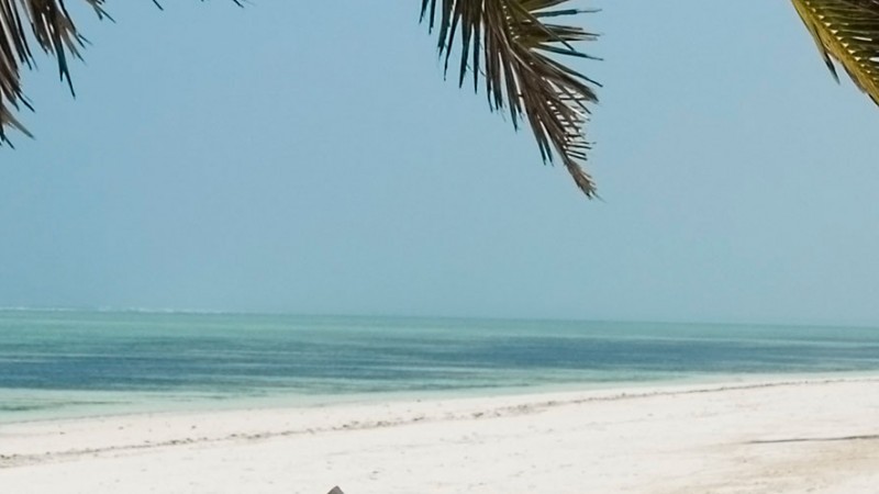 Zanzibar – Romance & Mystery