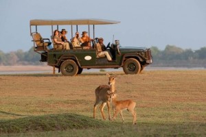 Game drive-Bush Camp-Company-Zambia