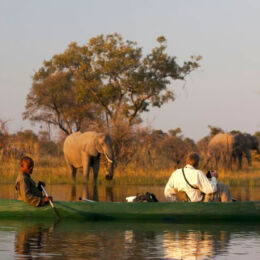 Selinda Explorers Canoeing, Botswana