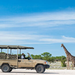 Onguma Tented Camp-Game Drive