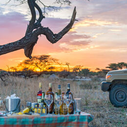 Onguma Tented Camp-sundowners-Namibia
