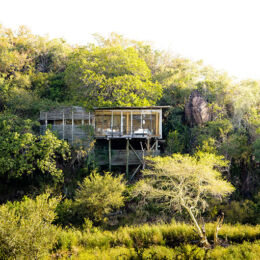 Kruger National Park-Singita Lebombo